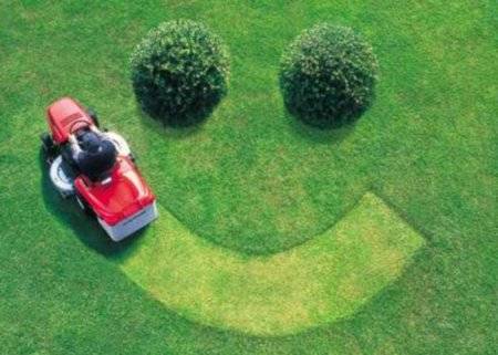 Дачный сад фото 2