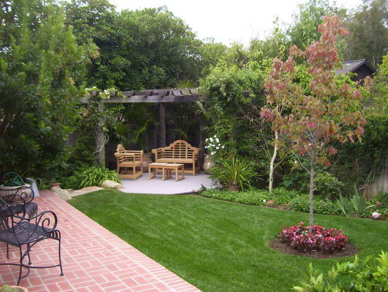 Дачный сад фото 1