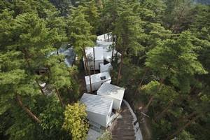 Дом архитектора Кавагути: современный Тарзан девственного леса