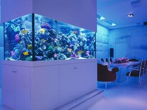 Морской аквариум в интерьере благородного дома Морской аквариум в интерьере благородного дома