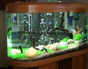 Искусственный аквариум: купить для интерьера и не прогадать в цене