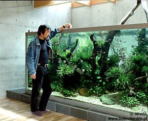 Дизайн аквариума + ФОТО двух стилей подводного мира
