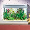 Tetra аквариум АquaАrt с необходимым оборудованием