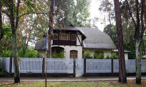 Дом Михаила Задорнова под Юрмалой в лапах злющего кота