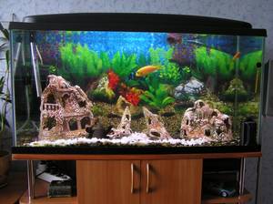 Гроты для аквариума: несколько вариантов оформления интерьера за стеклом