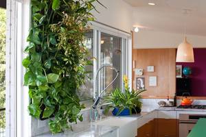 Кашпо настенное: вертикальные сады