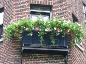 Контейнеры и горшки для цветов на балкон