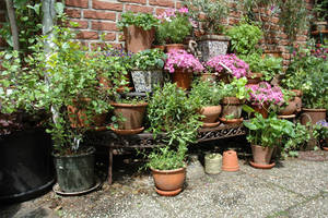 Горшки уличные для цветов: расстановка акцентов