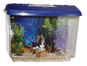 Детский аквариум своими руками: меняем представление о неживой красоте